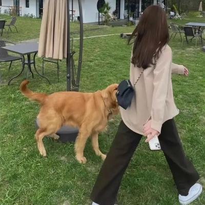嗨!营业中第三季